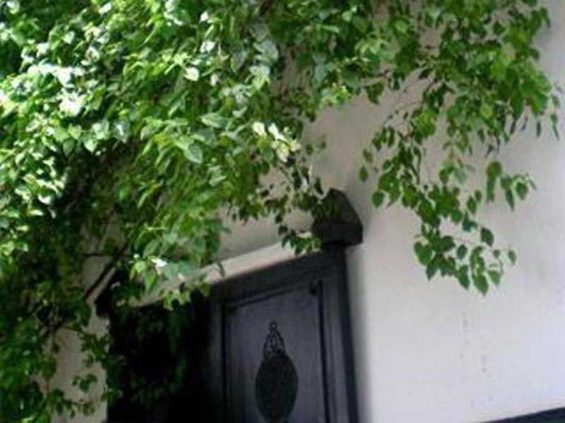 Riad Magellan Yoga And Spa Марракеш Экстерьер фото